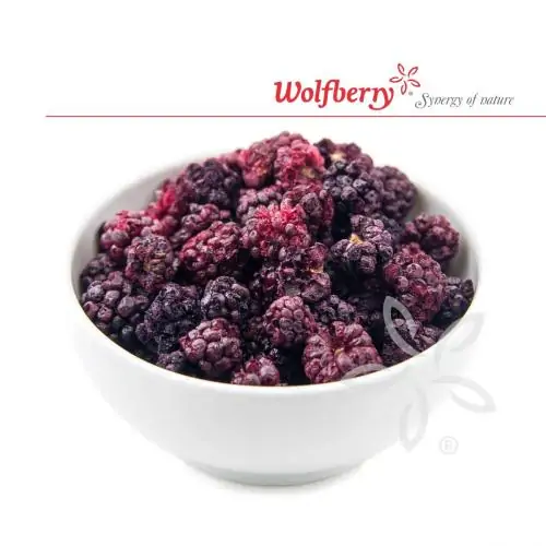 Gefriergetrocknete Brombeeren - Wolfberry