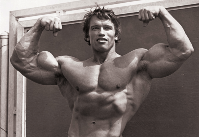 Arnold Schwarzenegger Training Diet And Motivation Of The Images, Photos, Reviews