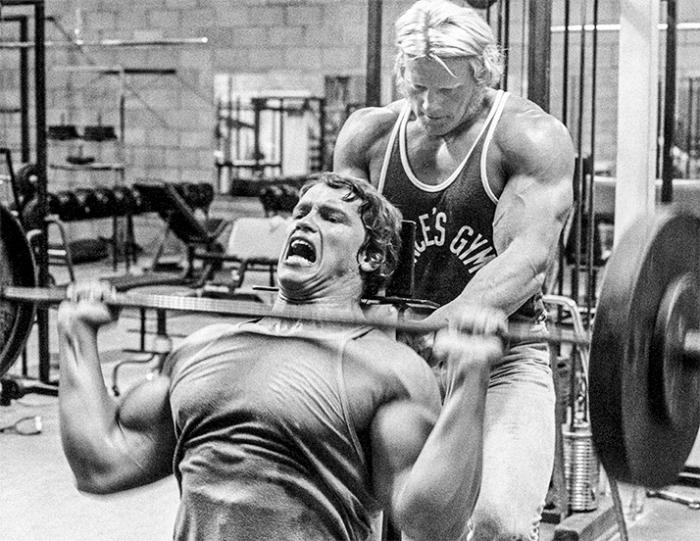 Arnold Gym Workout Chart