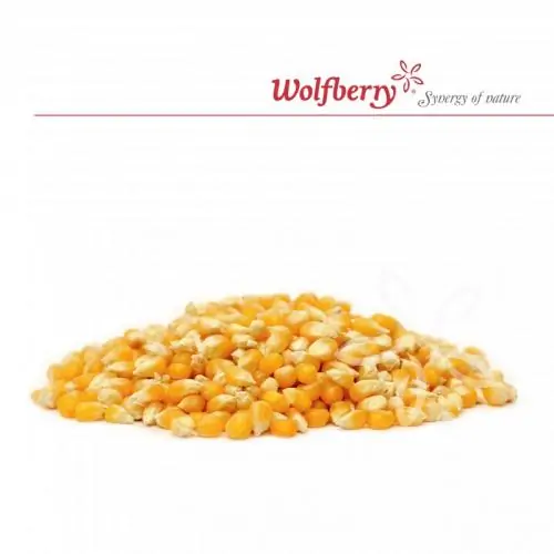 BIO Corn for popcorn - Wolfberry