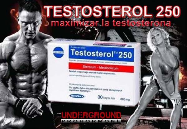 testosterol prírodný anabolizér