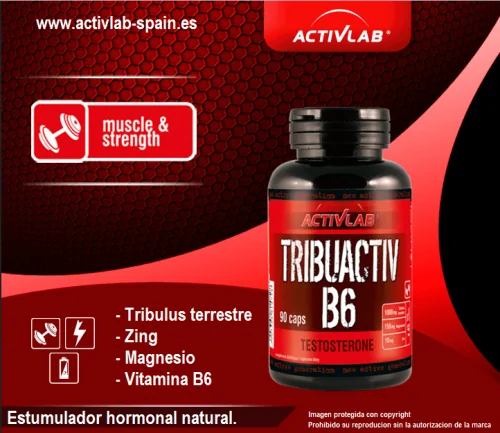 Tribuactiv B6 - ActivLab